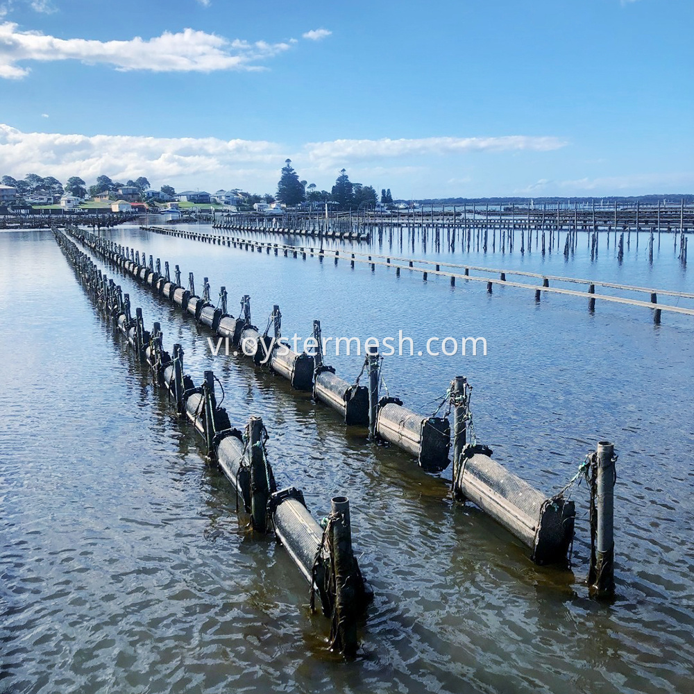 Lồng trồng hàu hình lục giác Hexagonal Oyster Farming Cage